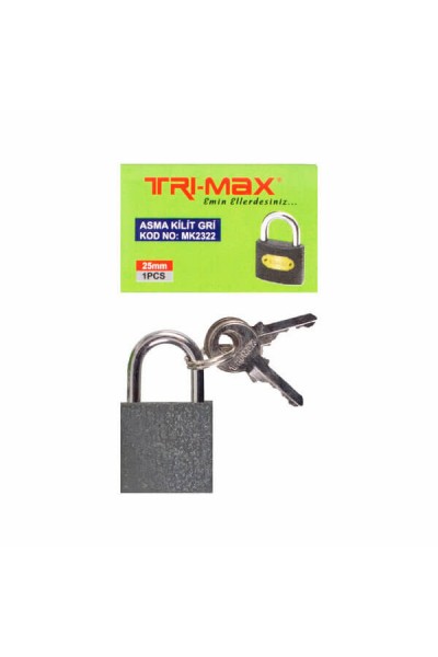 Baytec Trimax Asma Kilit Gri No.25mm MK2322 4633