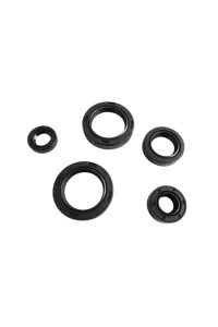 BAJAJ DİSCOVER 125 UYUMLU KEÇE SETİ 5 Lİ