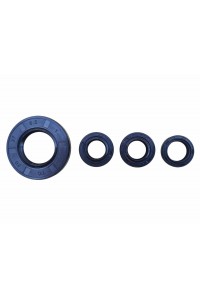 CBR 125 UYUMLU KEÇE SETİ 4 LÜ