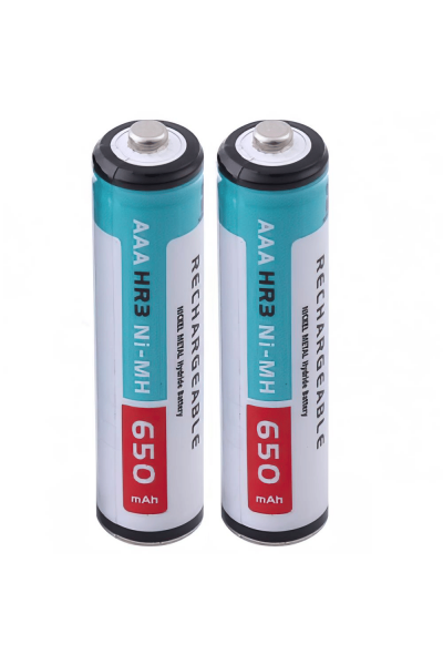 Orion 650 mAh Ni-Mh AAA Şarj Edilebilir İnce Kalem Pil 2'li Paket